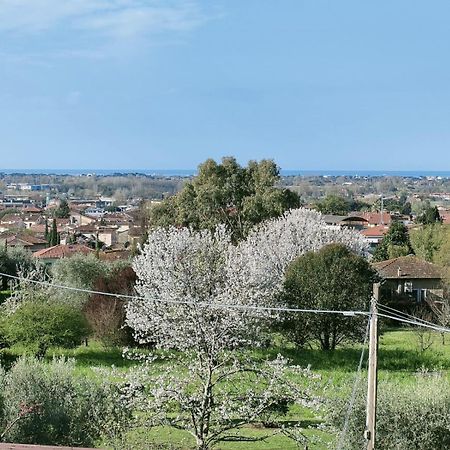 Casa Bianca Villa Pietrasanta Dış mekan fotoğraf