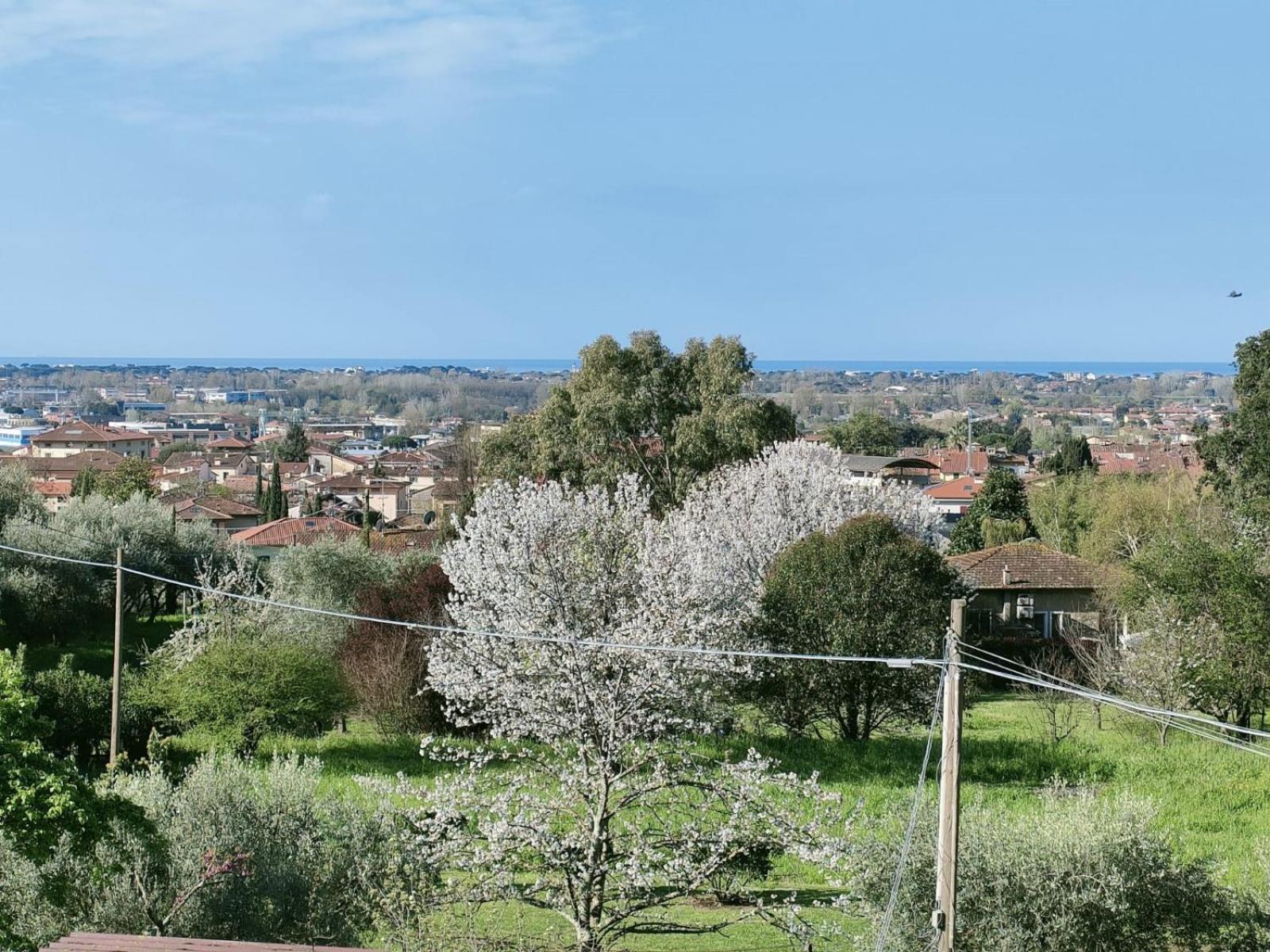 Casa Bianca Villa Pietrasanta Dış mekan fotoğraf